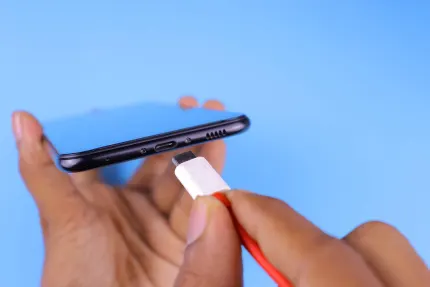 Casino Mobile Wins Mobiilirakendus